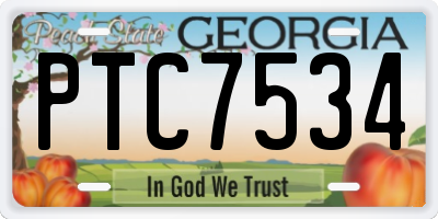 GA license plate PTC7534