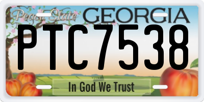 GA license plate PTC7538