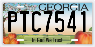 GA license plate PTC7541