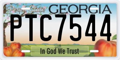 GA license plate PTC7544