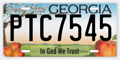 GA license plate PTC7545