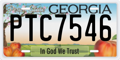 GA license plate PTC7546