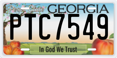 GA license plate PTC7549