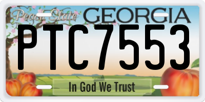 GA license plate PTC7553