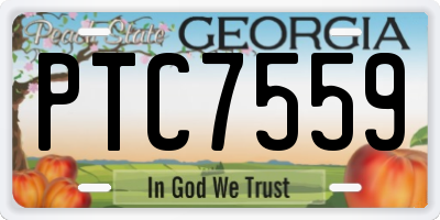 GA license plate PTC7559