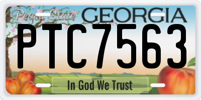 GA license plate PTC7563
