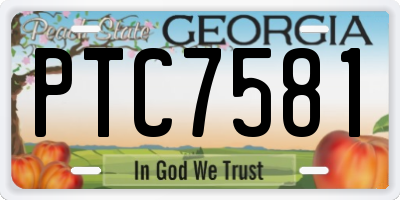 GA license plate PTC7581