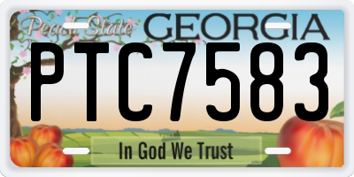 GA license plate PTC7583