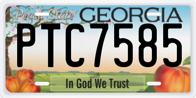 GA license plate PTC7585