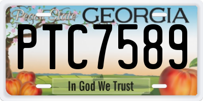 GA license plate PTC7589