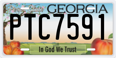GA license plate PTC7591