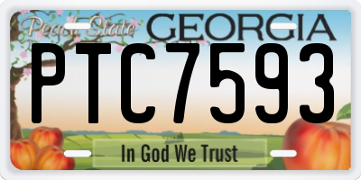 GA license plate PTC7593