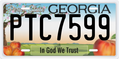GA license plate PTC7599