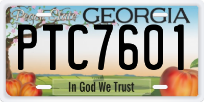 GA license plate PTC7601