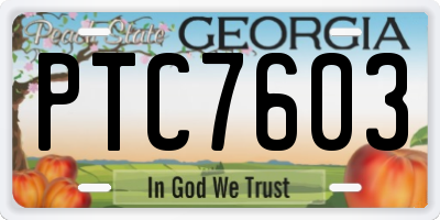 GA license plate PTC7603