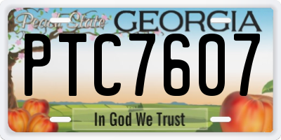 GA license plate PTC7607