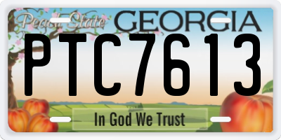 GA license plate PTC7613