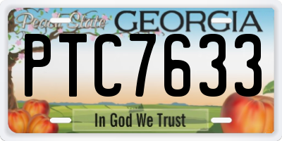 GA license plate PTC7633