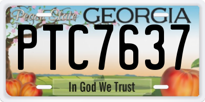 GA license plate PTC7637