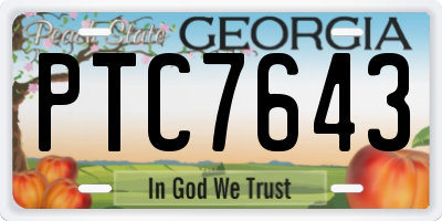 GA license plate PTC7643