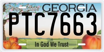 GA license plate PTC7663