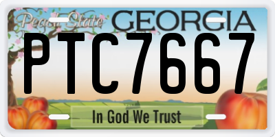 GA license plate PTC7667