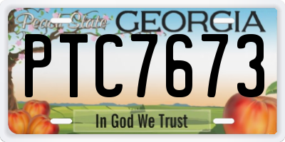 GA license plate PTC7673