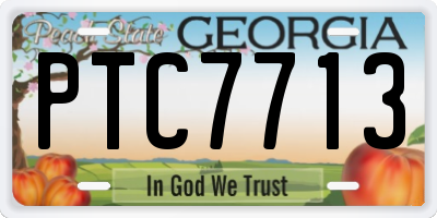 GA license plate PTC7713