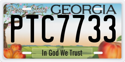 GA license plate PTC7733