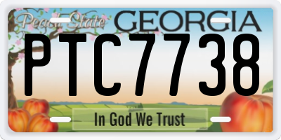 GA license plate PTC7738