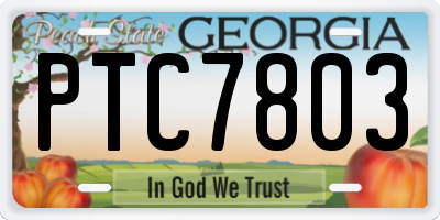 GA license plate PTC7803