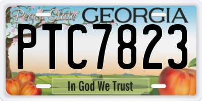 GA license plate PTC7823