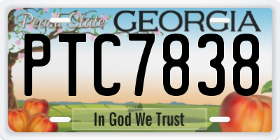 GA license plate PTC7838