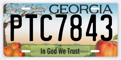 GA license plate PTC7843