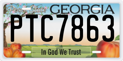 GA license plate PTC7863