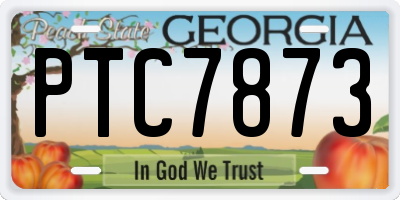 GA license plate PTC7873