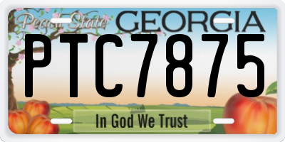 GA license plate PTC7875