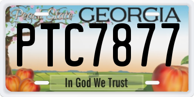 GA license plate PTC7877