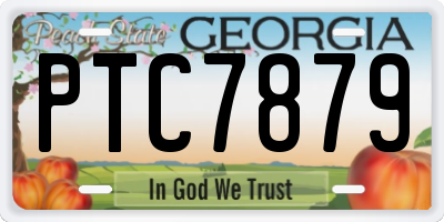 GA license plate PTC7879