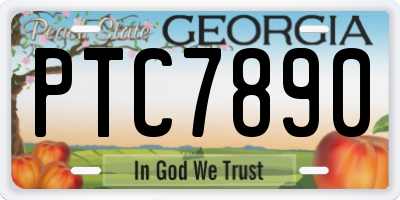 GA license plate PTC7890