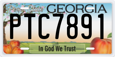 GA license plate PTC7891