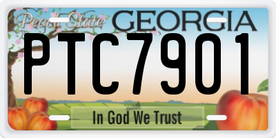 GA license plate PTC7901
