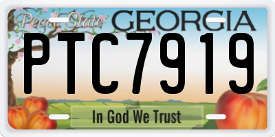 GA license plate PTC7919