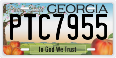 GA license plate PTC7955