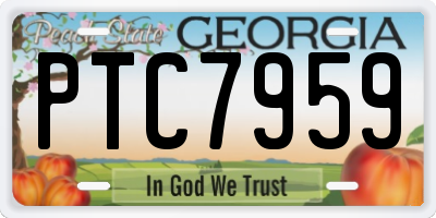 GA license plate PTC7959