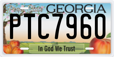 GA license plate PTC7960