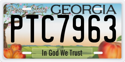 GA license plate PTC7963
