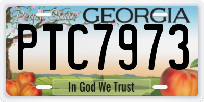 GA license plate PTC7973