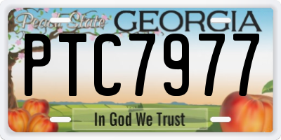 GA license plate PTC7977
