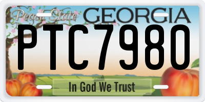 GA license plate PTC7980